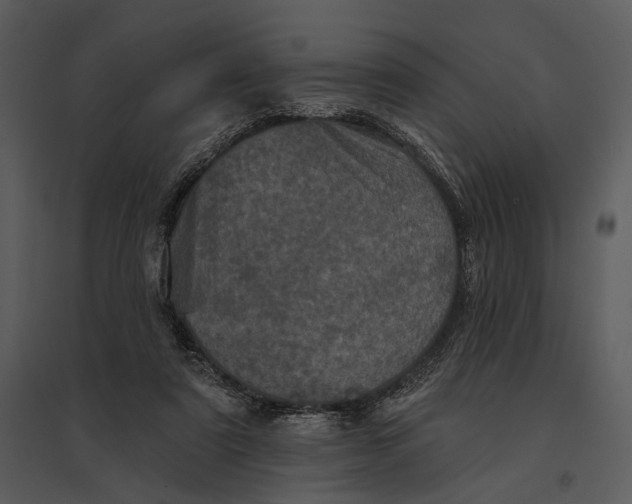 X0000095510307200801041206