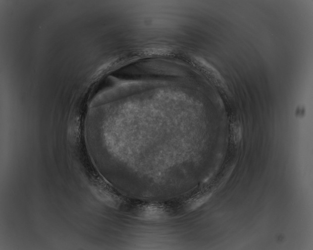 X0000095510308200801041206