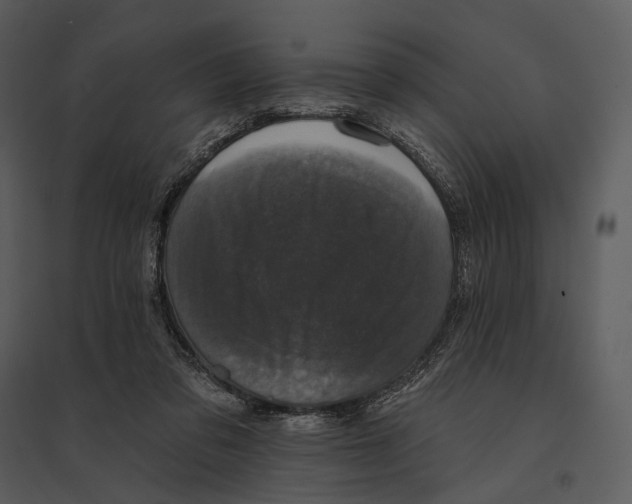 X0000095510309200801041206