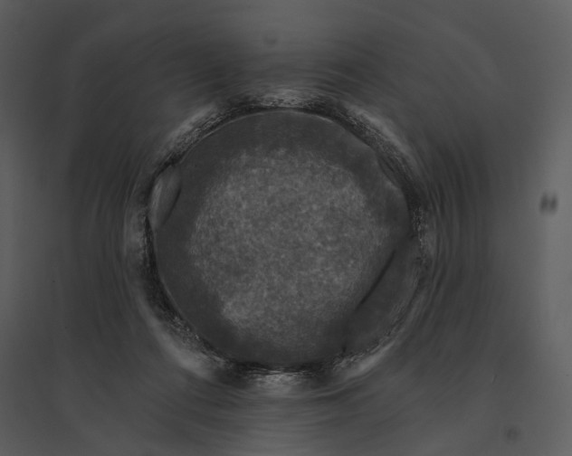 X0000095510312200801041206