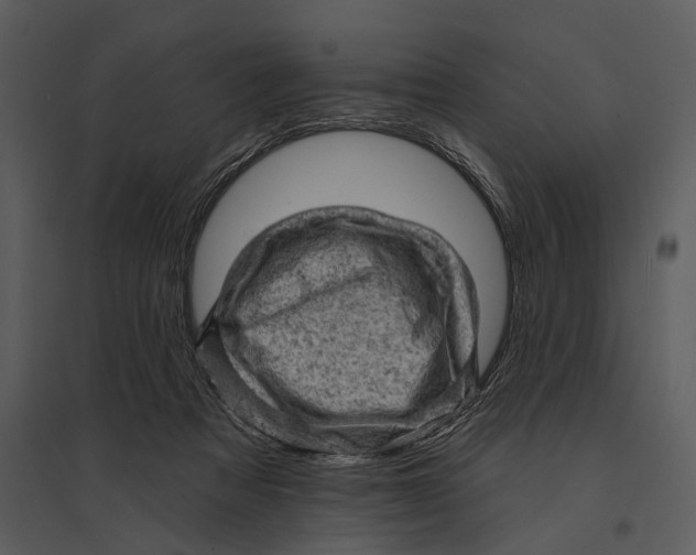 X0000095510313200801041206
