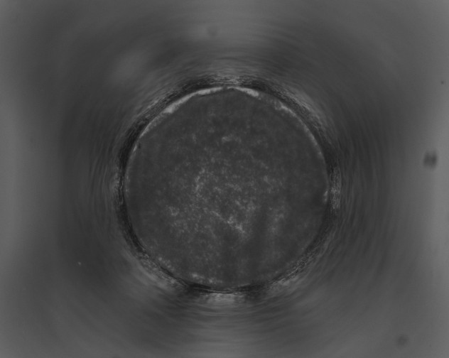 X0000095510314200801041206