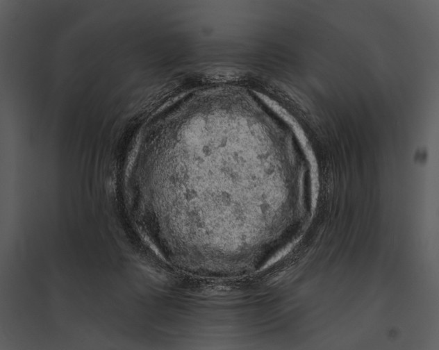 X0000095510315200801041206