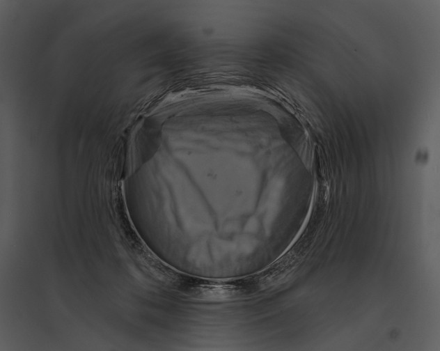 X0000095510316200801041206