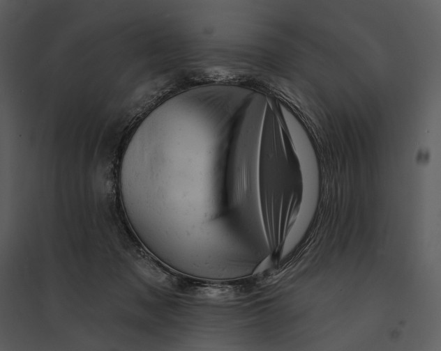 X0000095510317200801041206