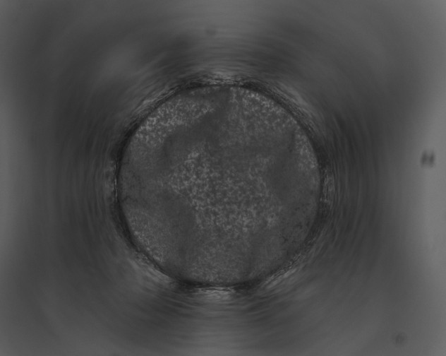 X0000095510318200801041206