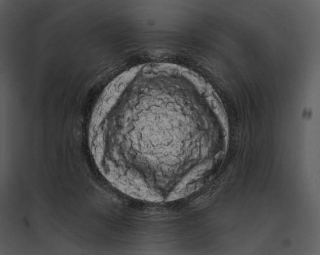 X0000095510319200801041206
