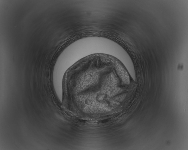 X0000095510320200801041206