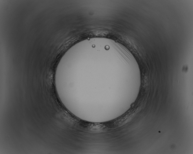 X0000095510321200801041206