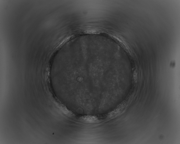 X0000095510322200801041206