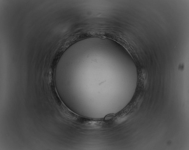 X0000095510323200801041206