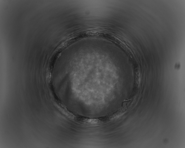 X0000095510324200801041206