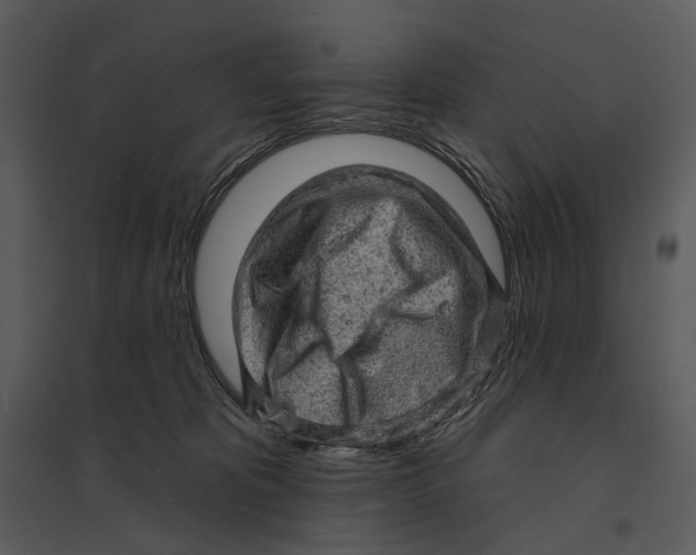 X0000095510325200801041206