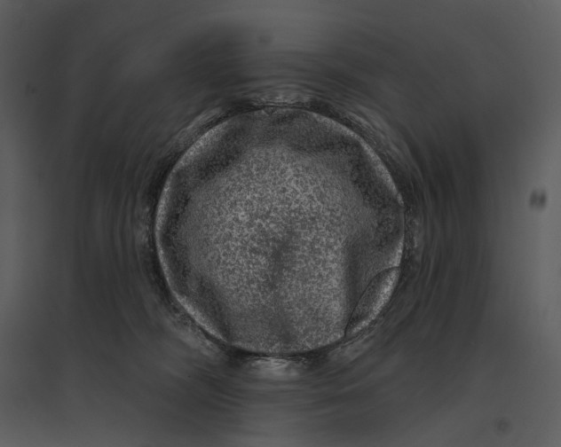 X0000095510326200801041206