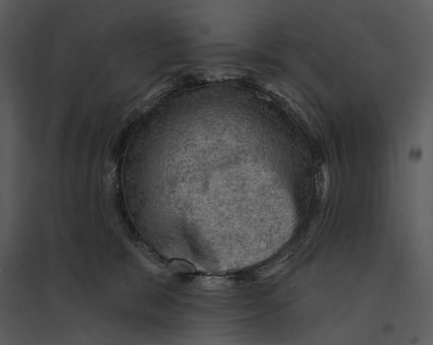 X0000095510327200801041206