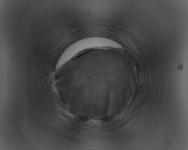 X0000095510328200801041206