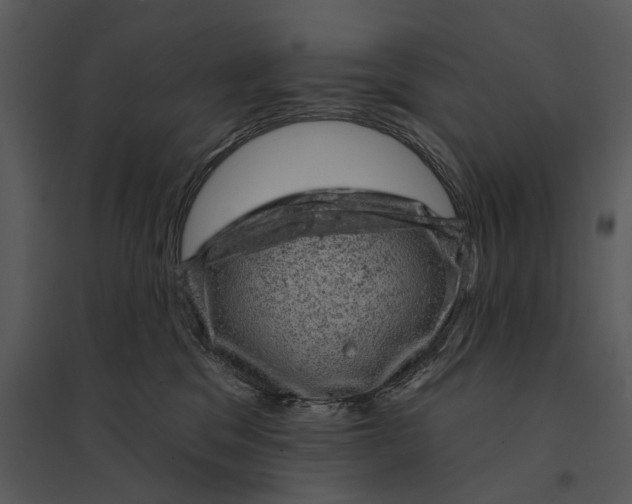 X0000095510329200801041206
