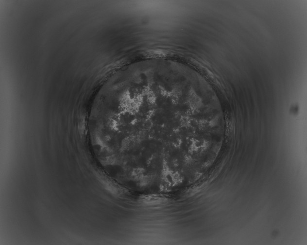 X0000095510331200801041206