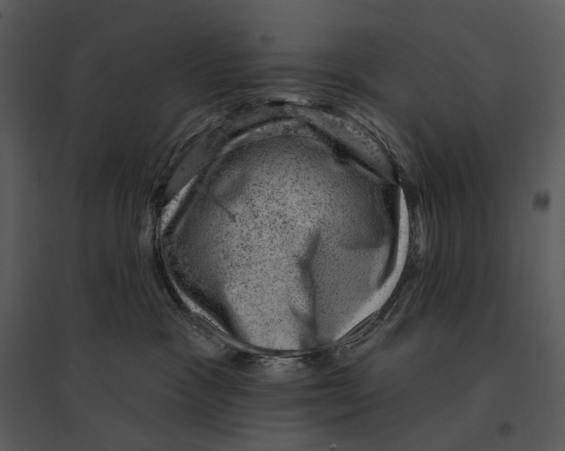 X0000095510333200801041206