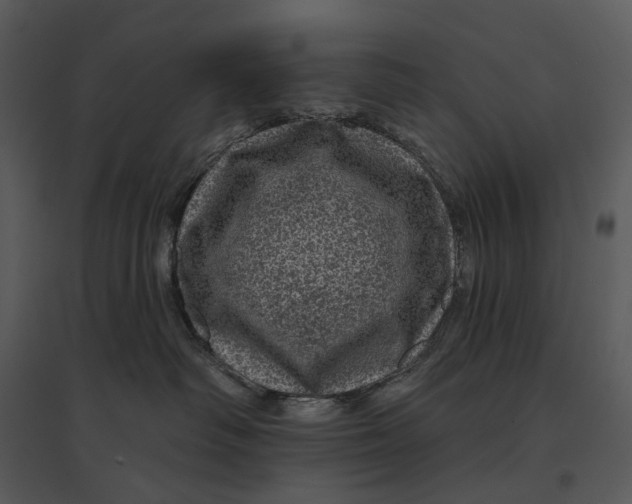X0000095510334200801041206