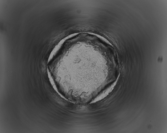 X0000095510335200801041206