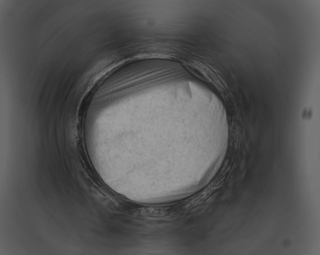 X0000095510338200801041205