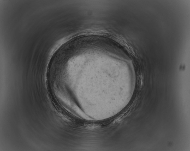X0000095510340200801041205