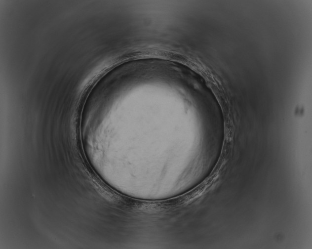 X0000095510341200801041205