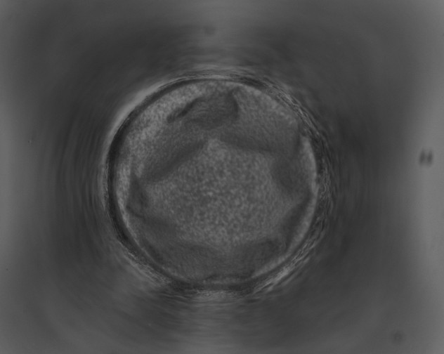 X0000095510342200801041205