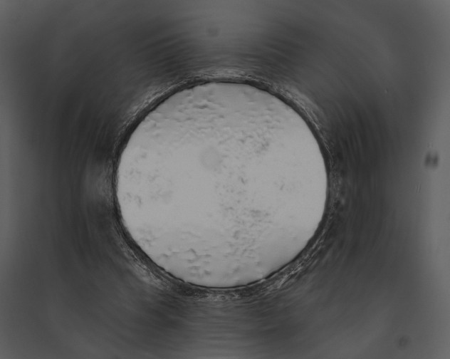 X0000095510345200801041205