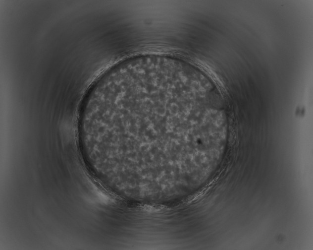 X0000095510346200801041205