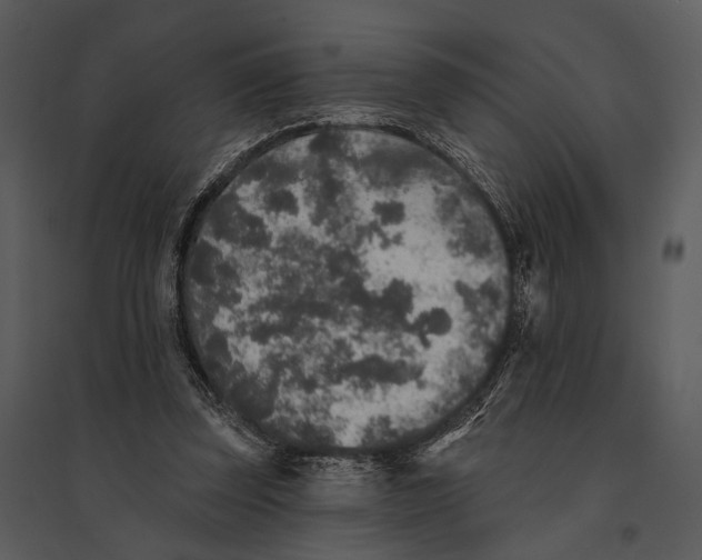 X0000095510347200801041205