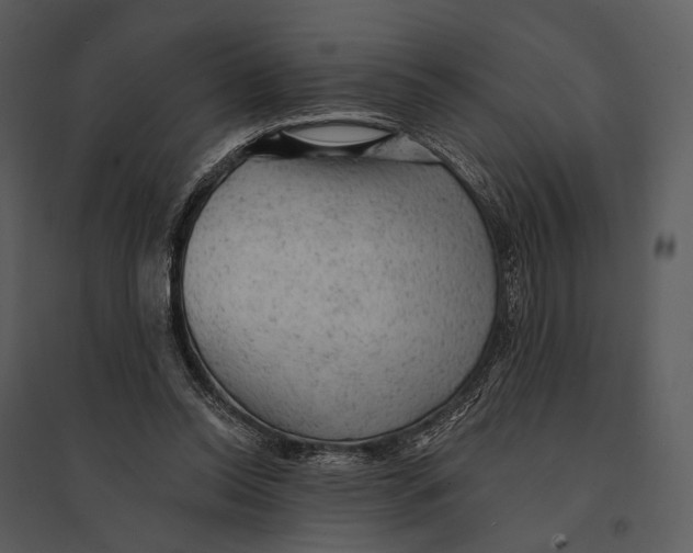 X0000095510350200801041205