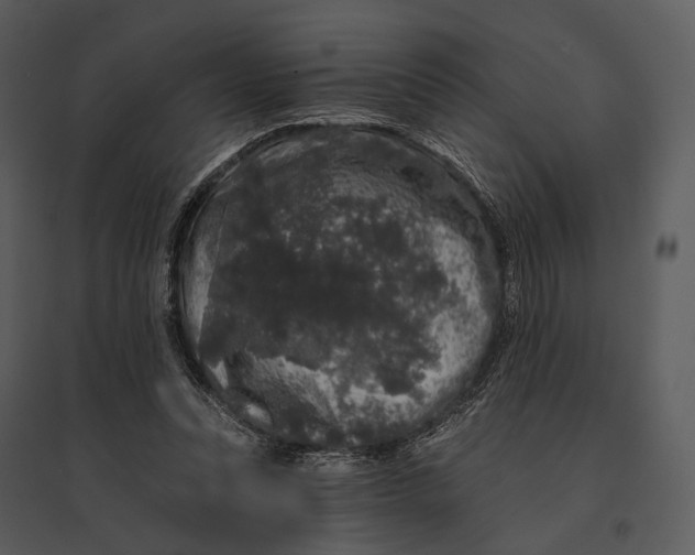 X0000095510351200801041205