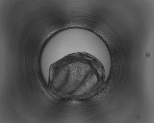 X0000095510352200801041205