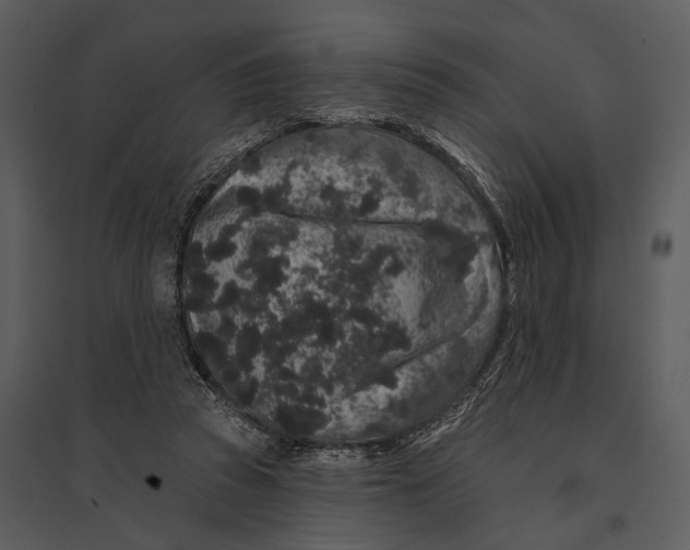X0000095510353200801041205