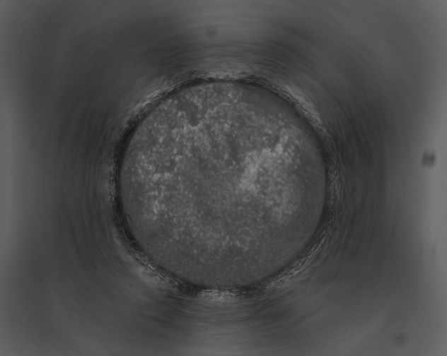 X0000095510354200801041205
