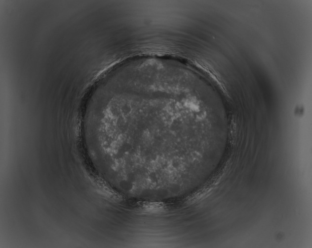 X0000095510355200801041205