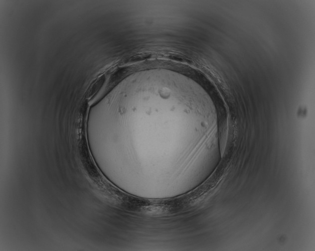 X0000095510356200801041205