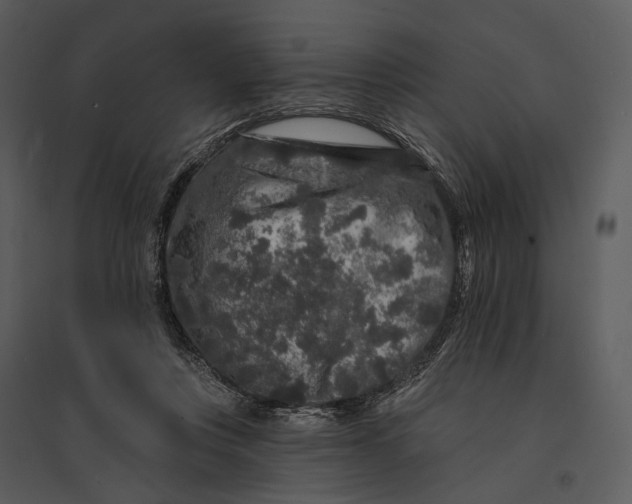 X0000095510359200801041205