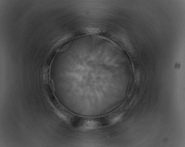 X0000095510360200801041205