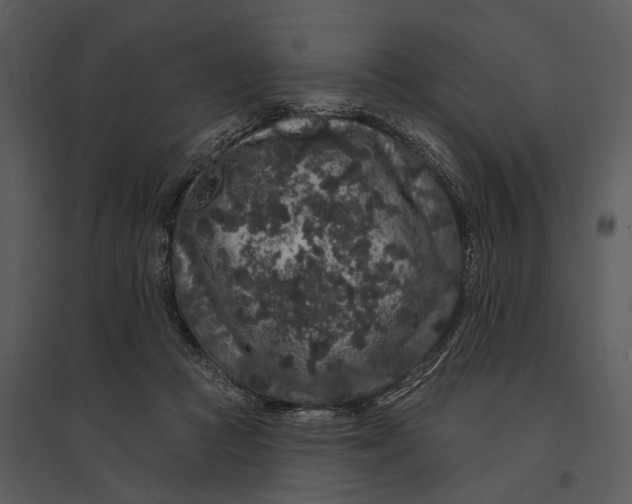 X0000095510361200801041205