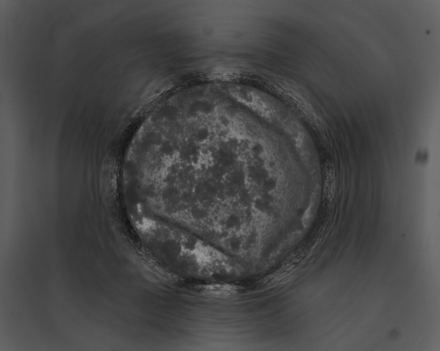 X0000095510363200801041205