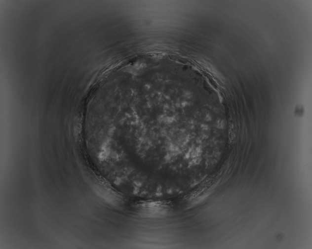 X0000095510365200801041205