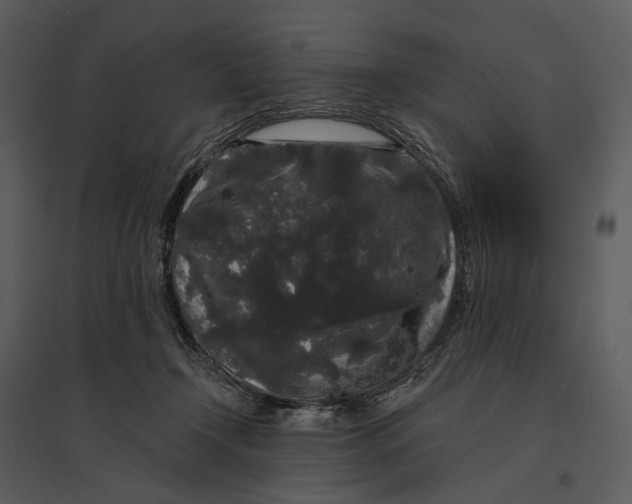 X0000095510366200801041206