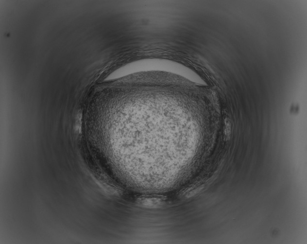 X0000095510368200801041206