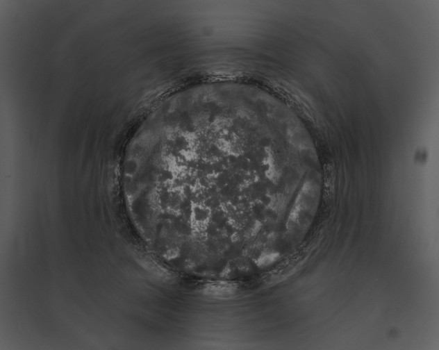 X0000095510369200801041206