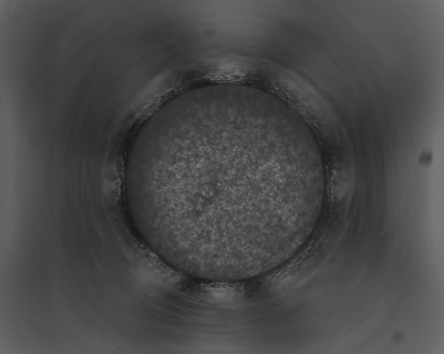 X0000095510370200801041206