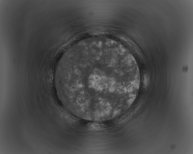X0000095510372200801041206