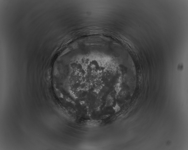 X0000095510373200801041206